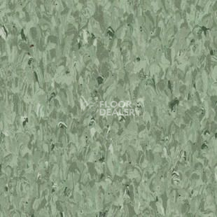 Линолеум Tarkett Iq Granit Safe T GREEN 0694 фото 1 | FLOORDEALER